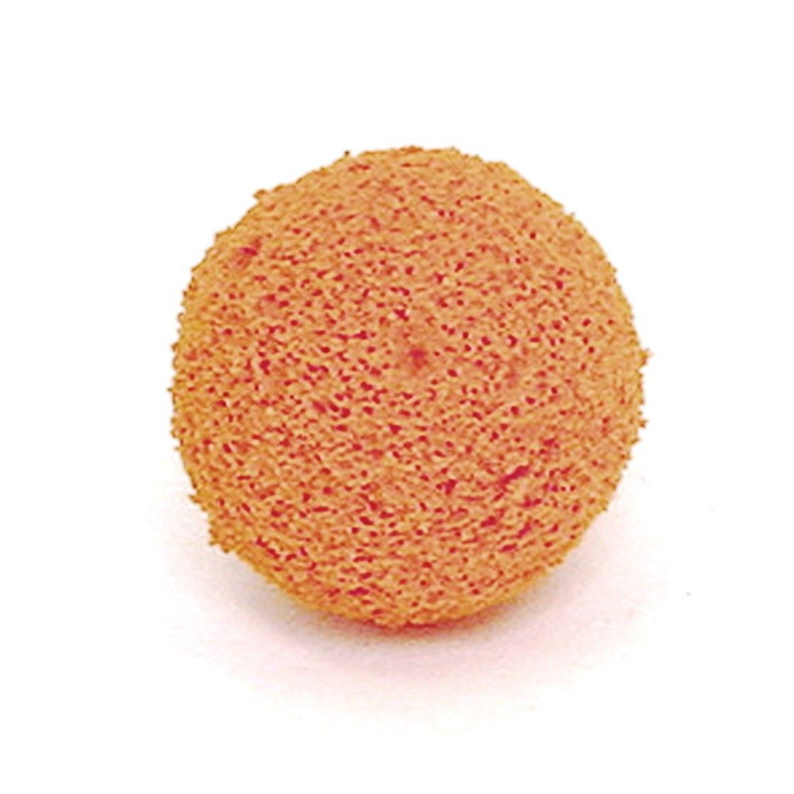 Rengøring af bolden Wagner DN27