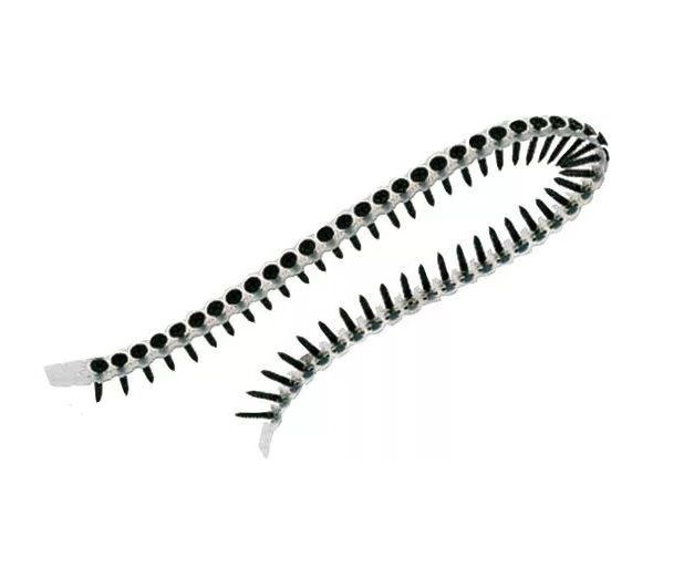 Båndet skruer DeWalt DWF4000550; 3,5x55 mm; 1000 stk.